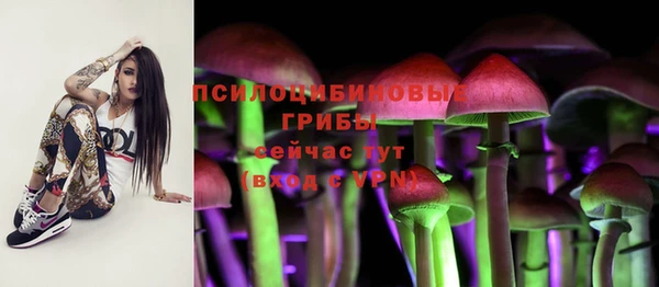 spice Алзамай