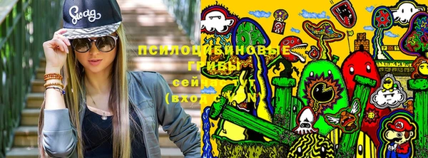 spice Алзамай
