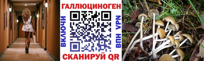 Псилоцибиновые грибы мухоморы  Купить где  Елизаветинская 